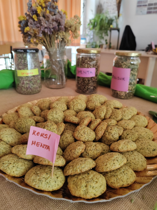 Kninski srednjoškolci u školskom vrtu uzgajaju povrće od kojeg prave namaze