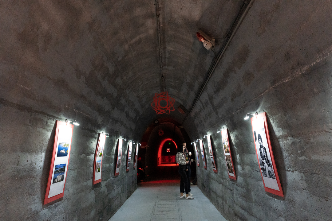 Pogledajte kako umjetna inteligencija vidi šibenske motive