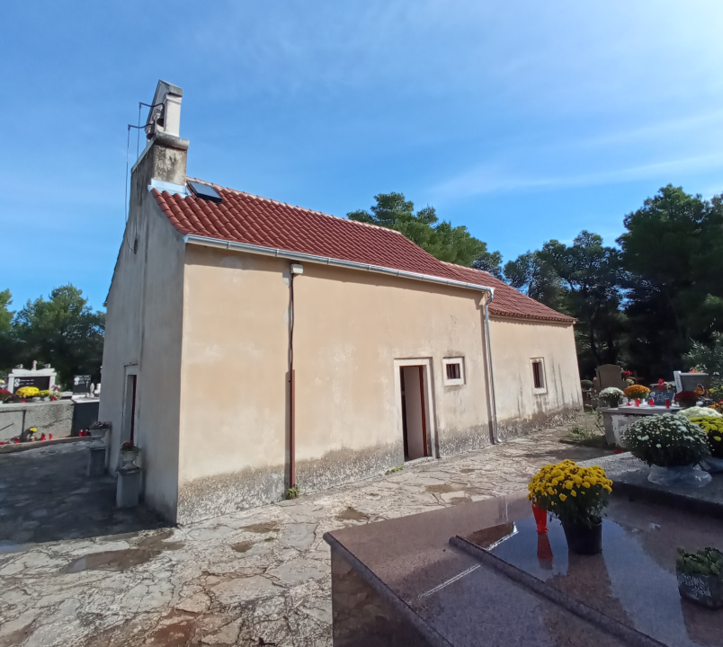 Raslina sve do 2019. čekala da bude otkrivena. Otkrićima pomogao čak i požar 