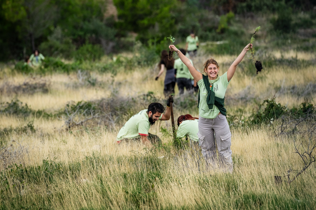 Gotovo 1000 volontera sudjelovalo u pošumljavanju Grebaštice