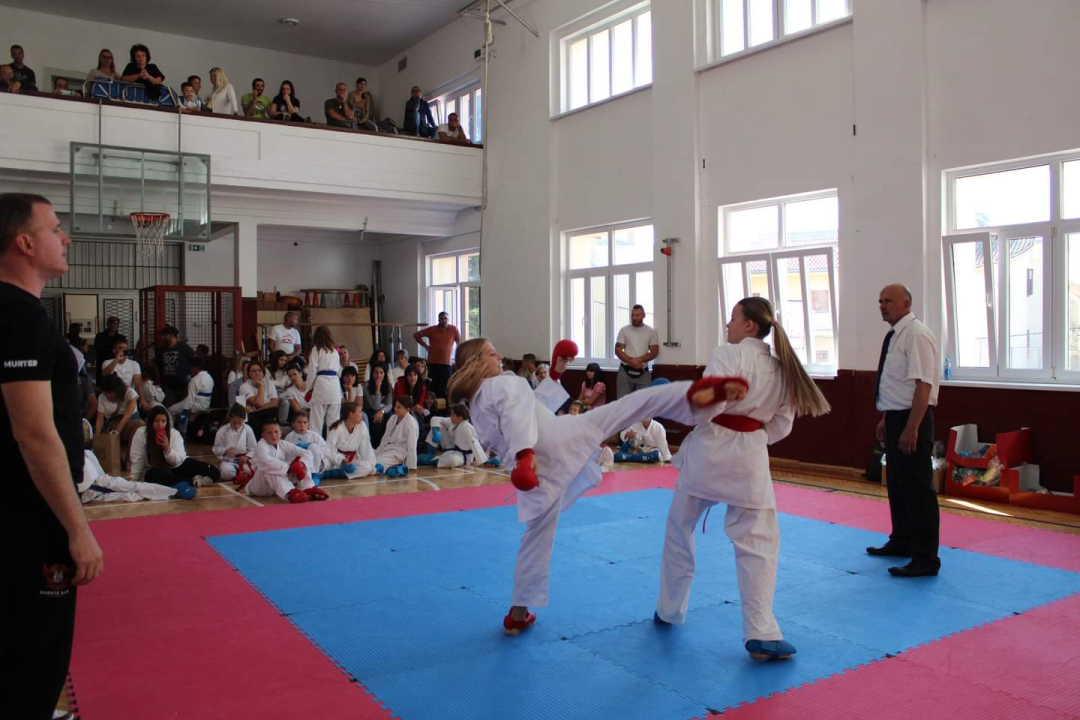 Projekti Liga klubova i Super liga Karate kluba Šibenik 1066 kao način brige za mlade sportaše