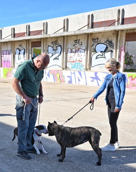 Marko Čogelja savjetuje kako dobro odgojiti psa