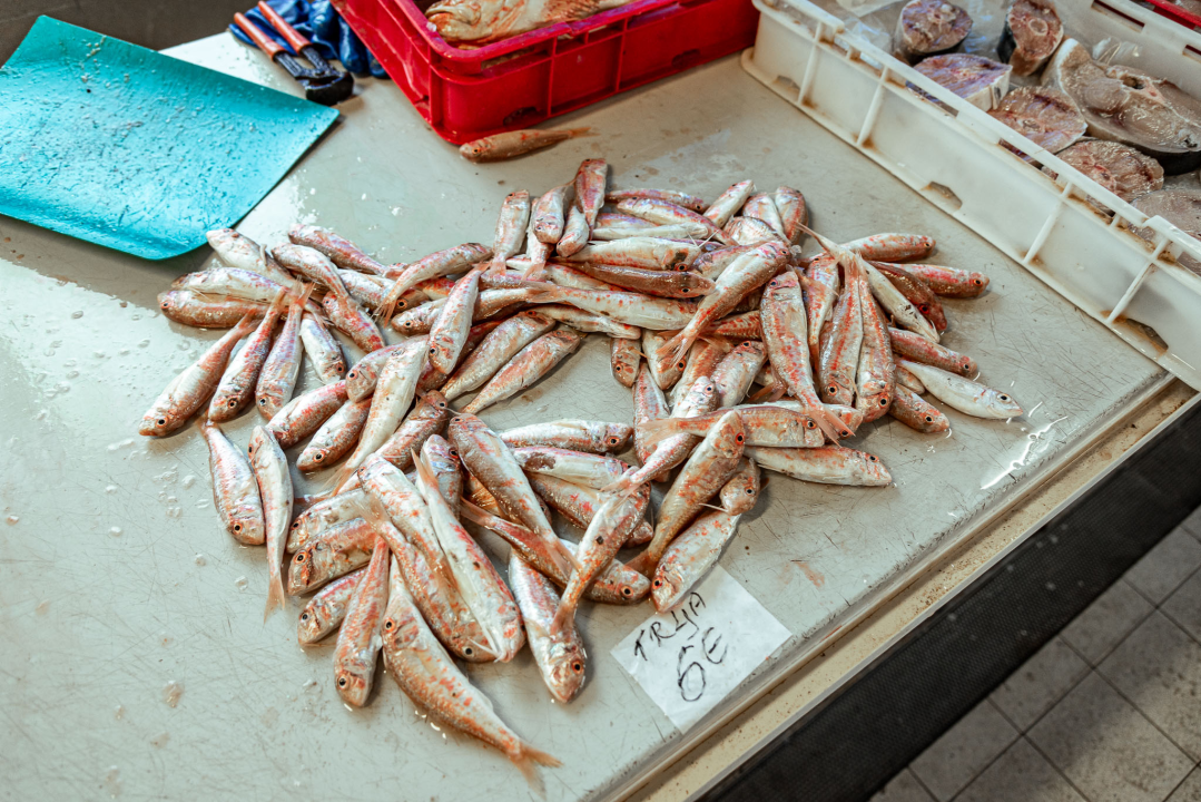 Prepuni banci na šibenskoj peškariji, kupaca ne fali, ali bira se jeftinije