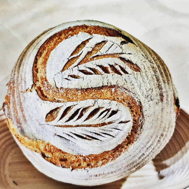 Šibenčanka Sanja maherica je za sourdough kruh, a njezin starter Špiro ide s njom i na putovanja
