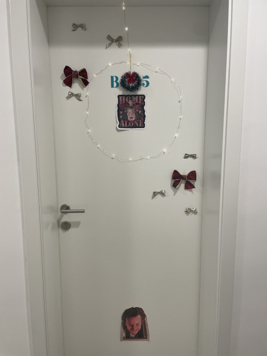 U studentskom domu Palacin nagrađena najljepše uređena vrata