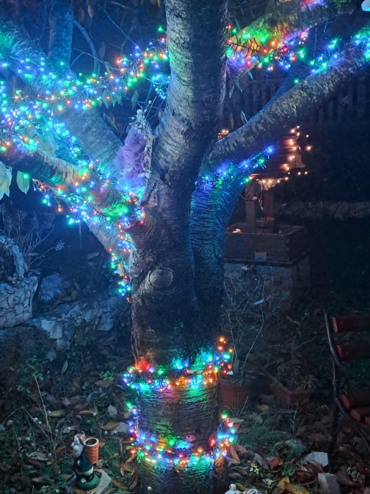 Božićni vrt obitelji Vlahov oduševljava: Blista s 27 tisuća lampica