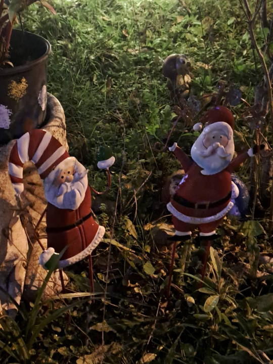 Božićni vrt obitelji Vlahov oduševljava: Blista s 27 tisuća lampica