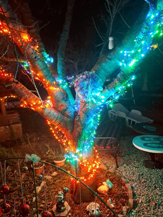 Božićni vrt obitelji Vlahov oduševljava: Blista s 27 tisuća lampica