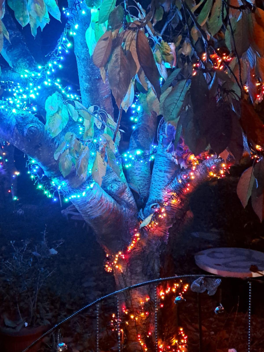 Božićni vrt obitelji Vlahov oduševljava: Blista s 27 tisuća lampica