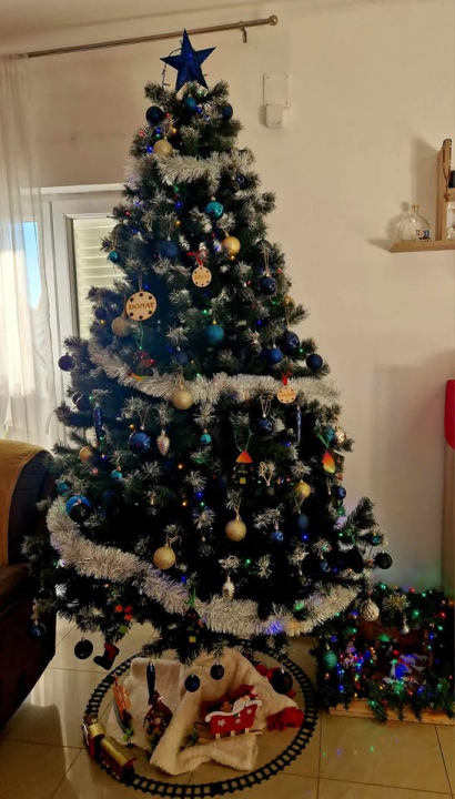 Provjerite tko su pobjednici izbora za naj jelku!