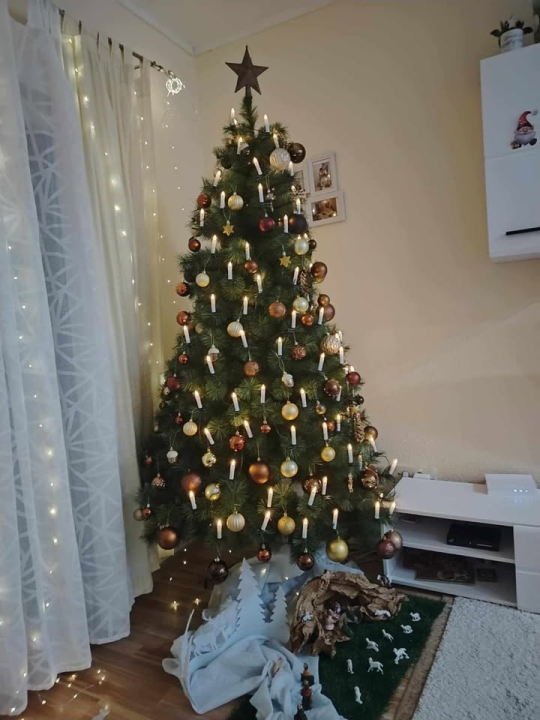 Provjerite tko su pobjednici izbora za naj jelku!