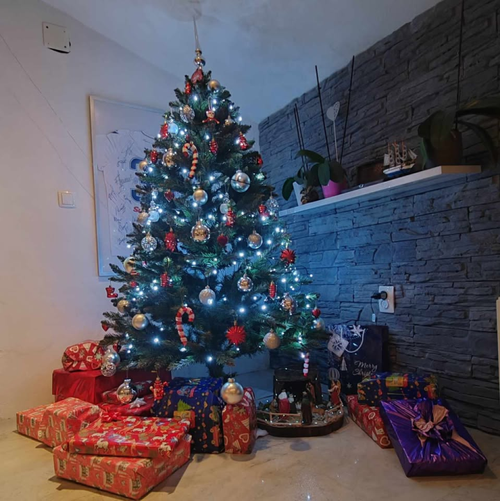 Provjerite tko su pobjednici izbora za naj jelku!