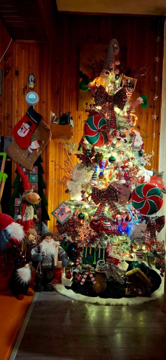 Provjerite tko su pobjednici izbora za naj jelku!