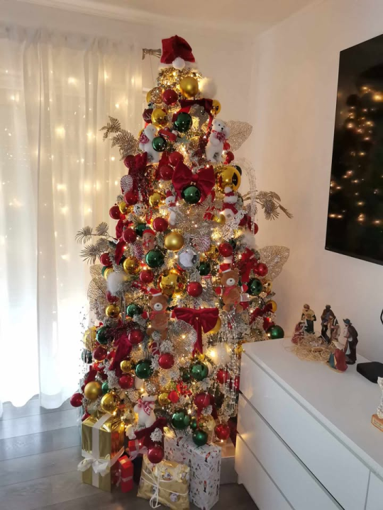 Provjerite tko su pobjednici izbora za naj jelku!