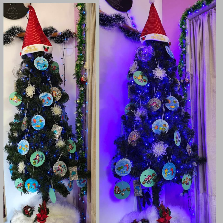 Provjerite tko su pobjednici izbora za naj jelku!