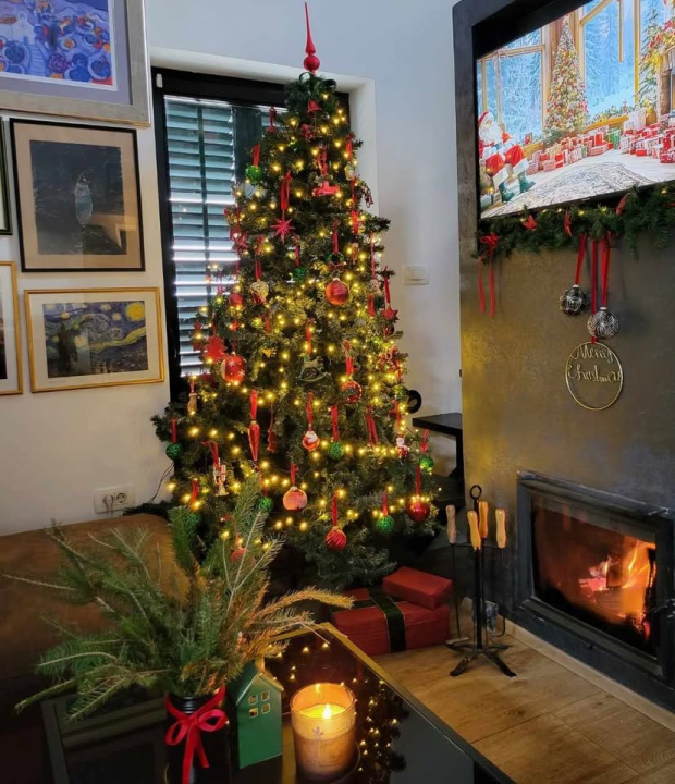 Provjerite tko su pobjednici izbora za naj jelku!