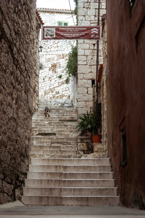 Gorica zimi: U starom šibenskom kvartu 'nema pasa', ali nađe se poneka mačka