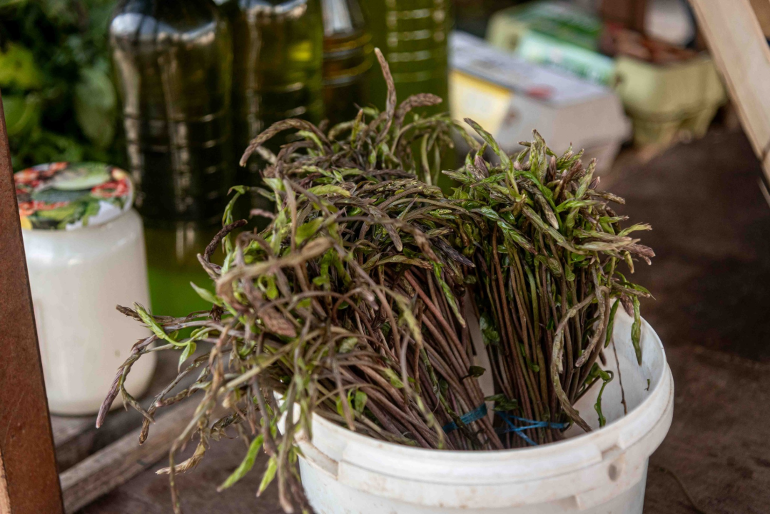 Petak na šibenskoj pijaci