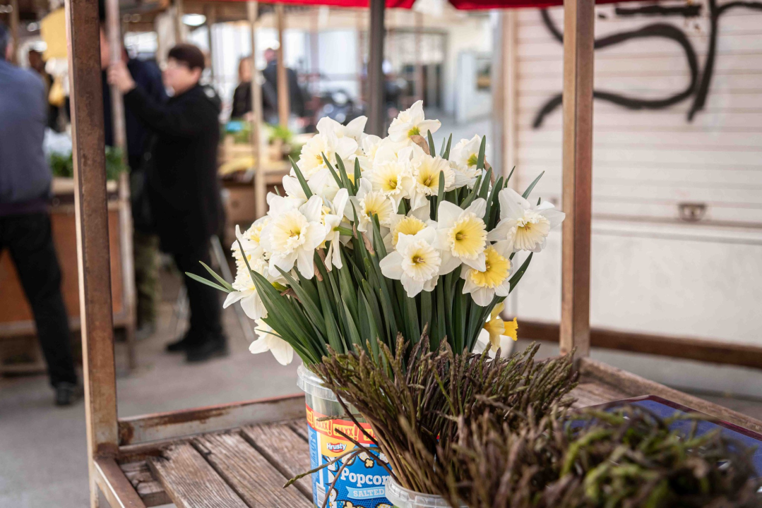 Petak na šibenskoj pijaci