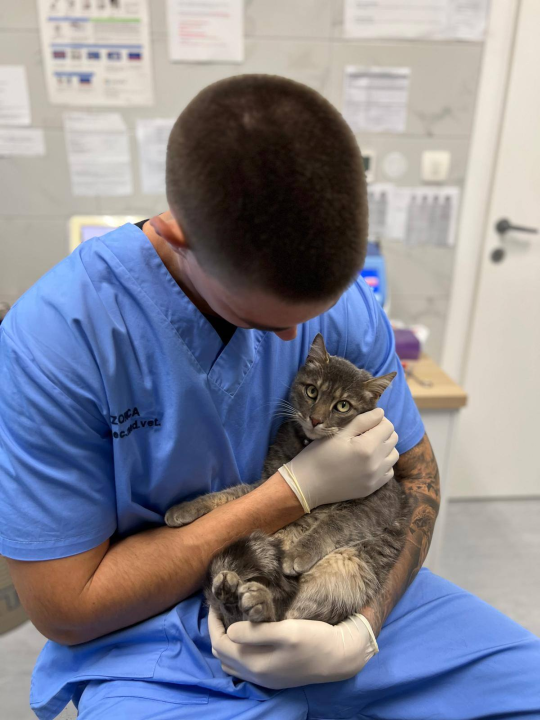 Anđelo Zorica oduvijek je znao da će biti veterinar