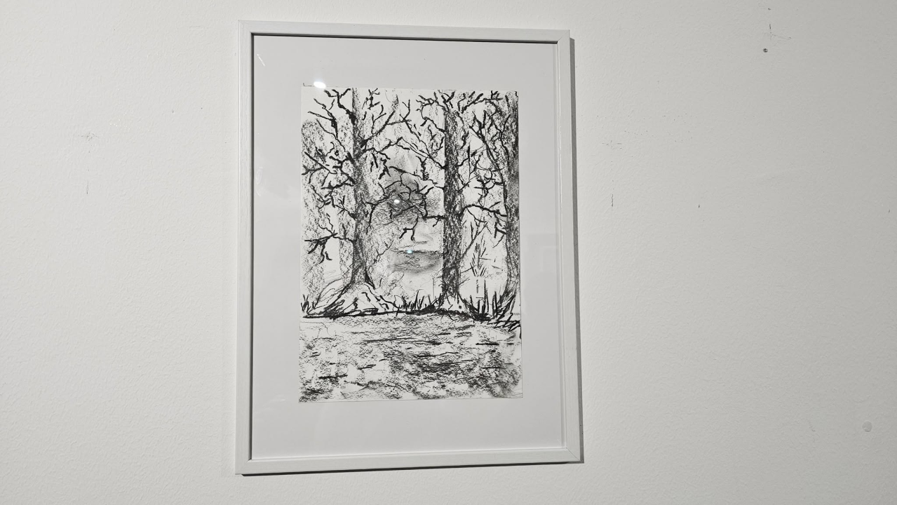 Andrija Škugor osmogodišnji je umjetnik iz Šibenika