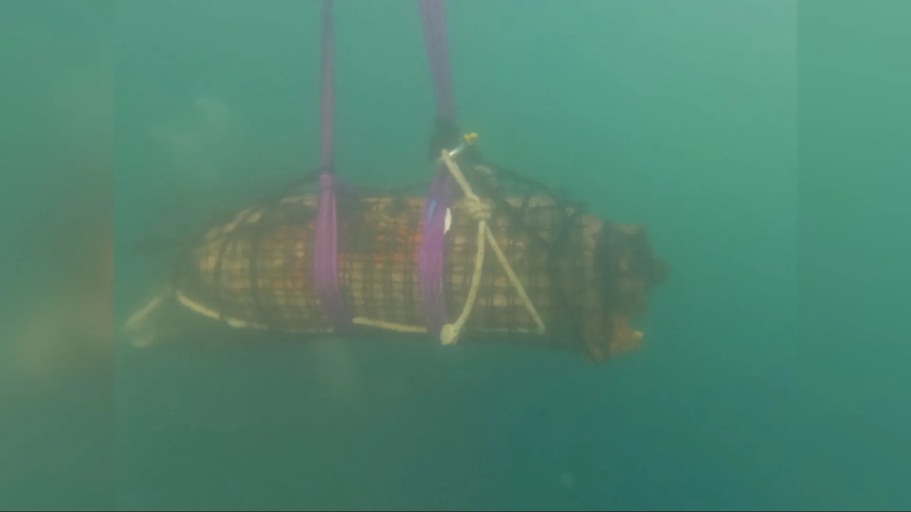 Policijski ronioci kod Batižela iz mora izvlače dvije avionske bombe