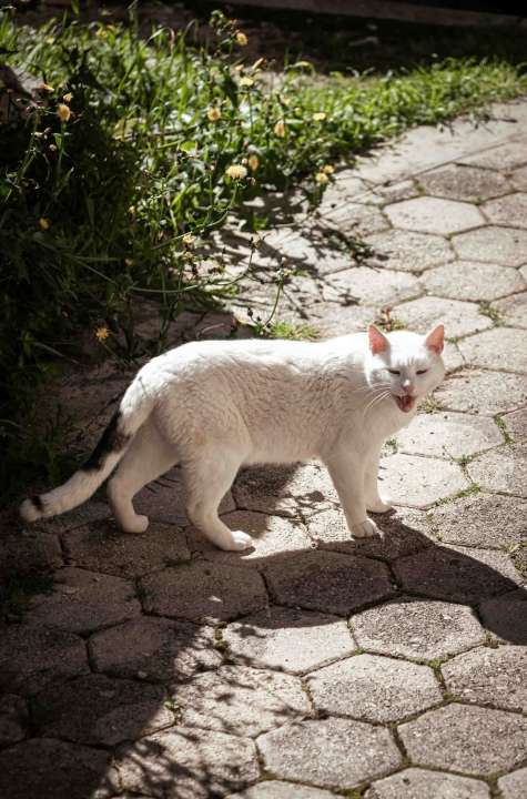 Možda Meterize ne izgledaju atraktivno, ali zato imaju pogled od milijun eura