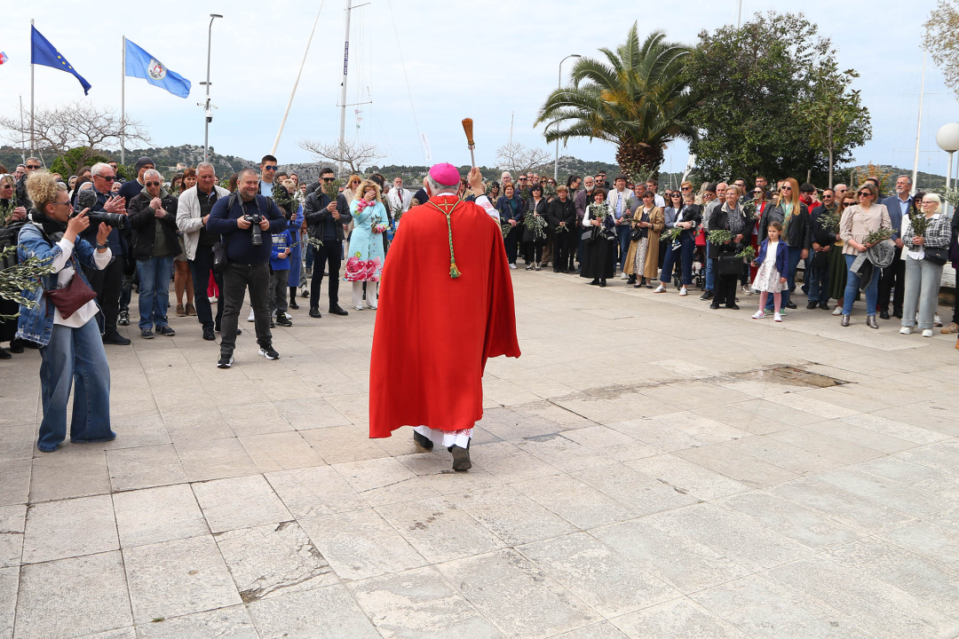 Cvjetnica u Šibeniku
