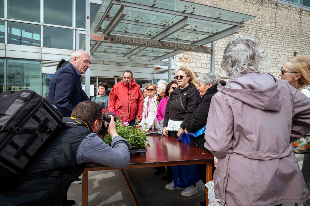 Održana tradicionalna akcija podjele sadnica u Šibeniku