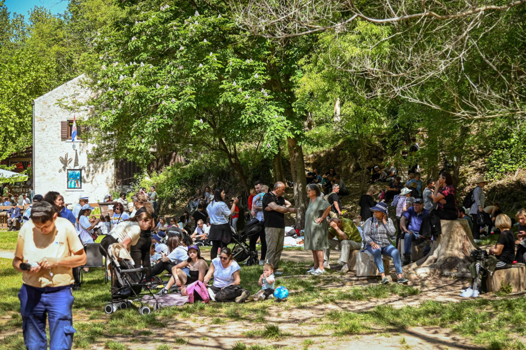 FOTO Podijeljeno 1500 sadnica lavande, mirte i lovora: Akcija ‘Rastemo zajedno’ treću godinu zaredom u NP Krka