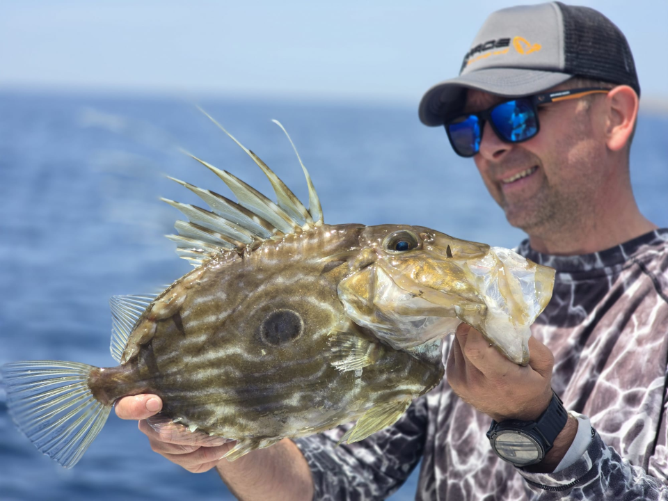 FOTO Zabaci varalicu na šibenskoj rivi uz Savage Gear!