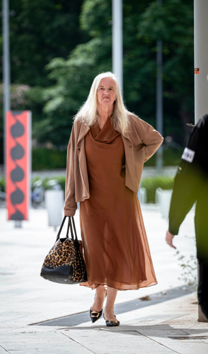  FOTO Đir po gradu, utorak 20 .svibnja