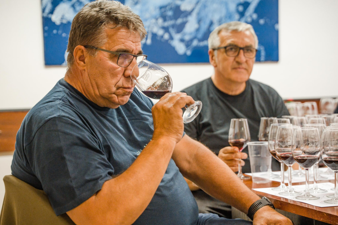 Ne propustite četvrti Festival drniškog merlota 