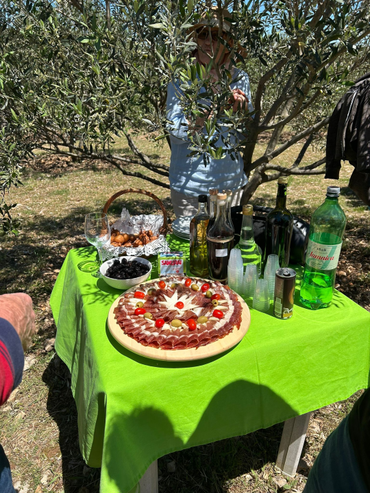 Pirovačka Udruga 'Uljanica' proslavila vrijedna međunarodna priznanja