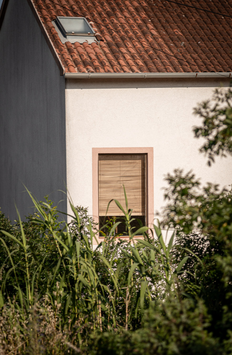 FOTO Ulica ugodna za život: Putem Jurasa i dalje dominira ogromni Tuđmanov kip