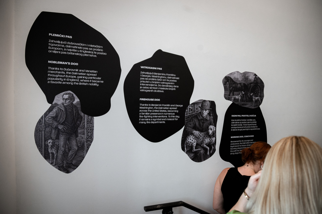 Otvorena Kuća dalmatinskog psa