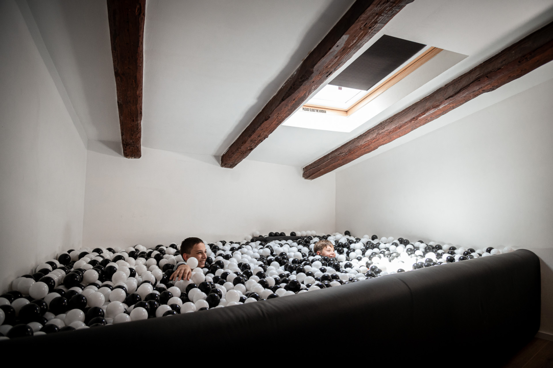 Otvorena Kuća dalmatinskog psa