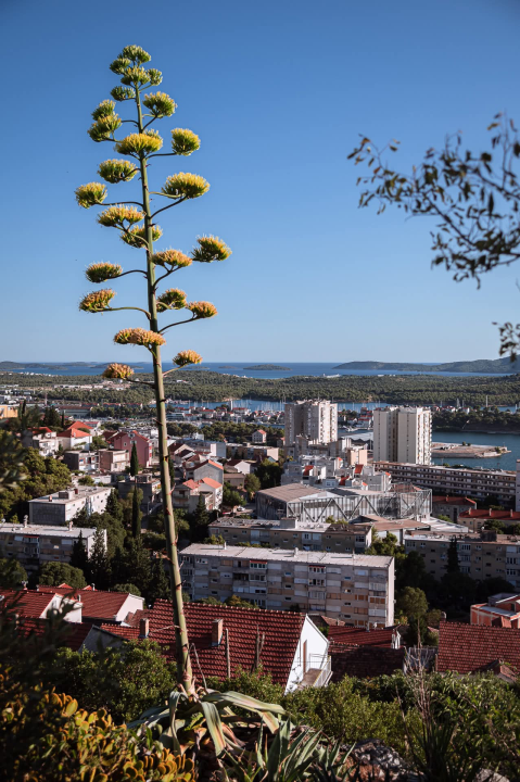Na brdu iznad Šibenika: Mažurice s pogledom na grad, mirom i zajedništvom