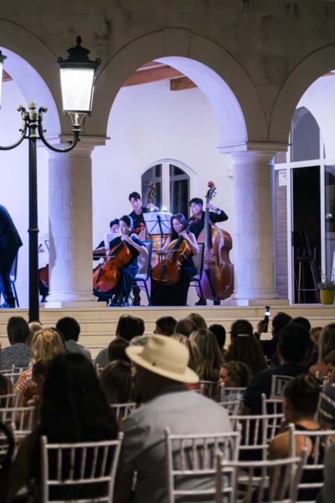 Koncert u Amadria parku