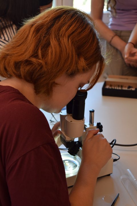 Mladi čuvari prirode: Junior Ranger grupa okupila se u Eko kampusu 'Krka' Puljani