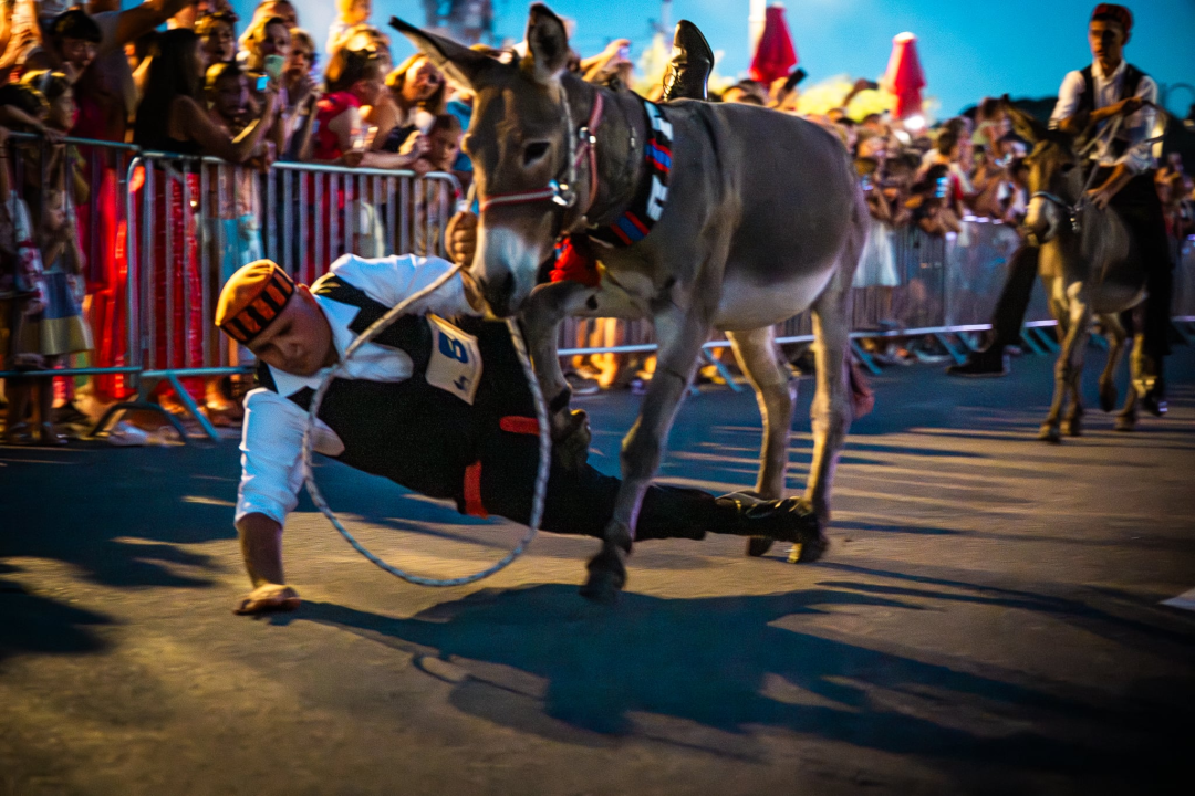 Održane 58. magareće trke u Tribunju