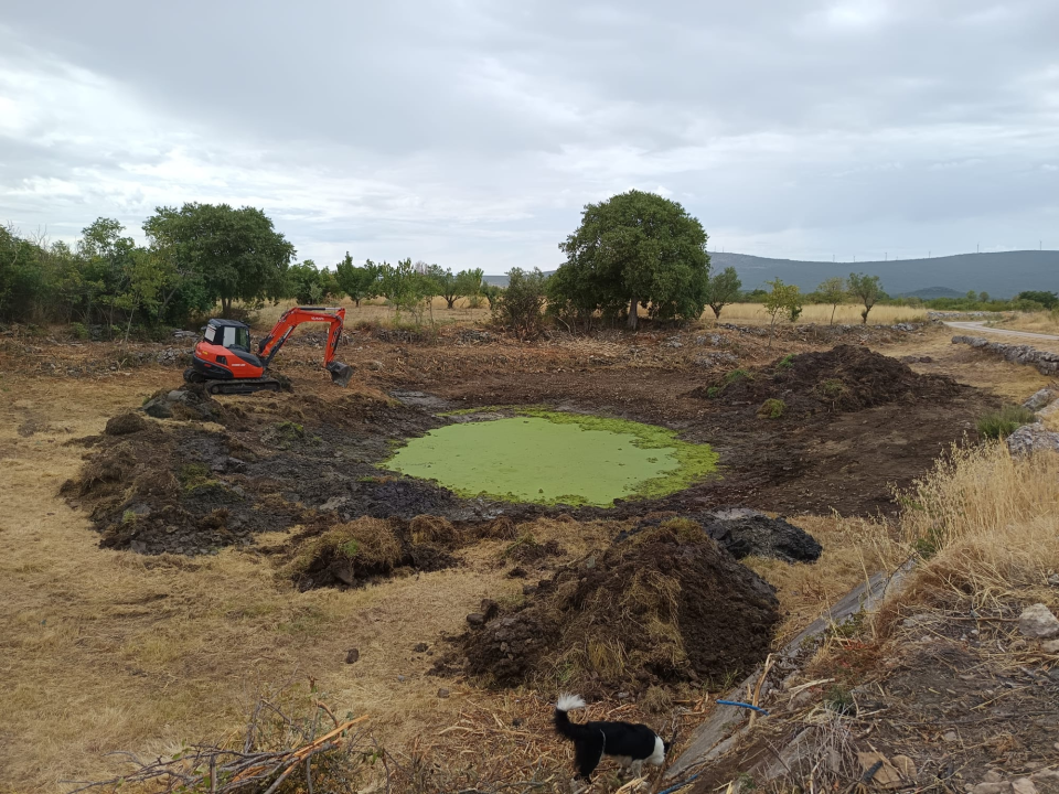 Stručna služba NP Krka u suradnji s lokalcima očistila lokvu Suvaču