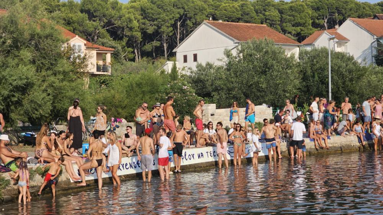 Lov na ciple na teću