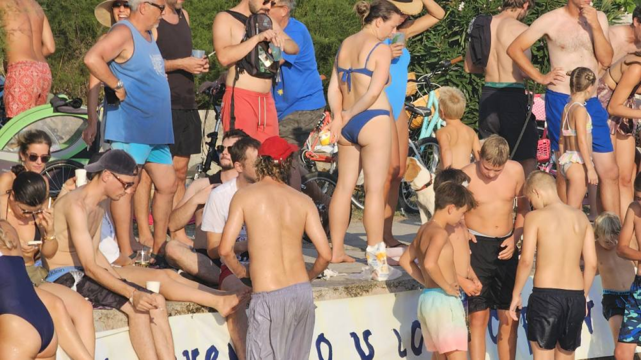 Lov na ciple na teću