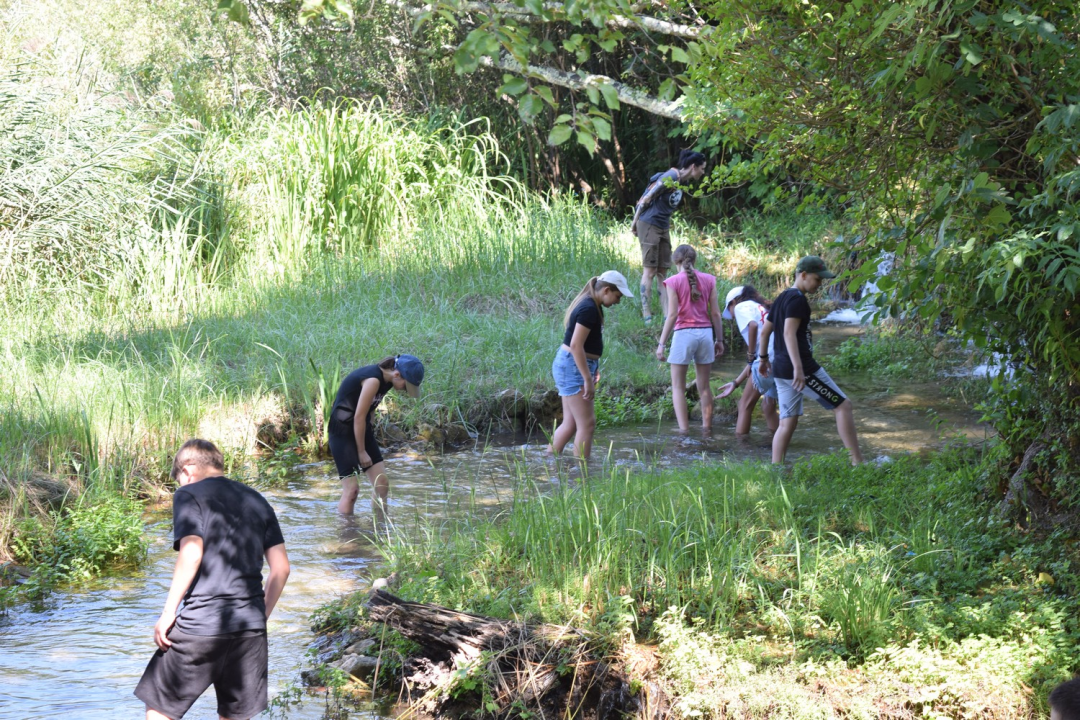 Mladi čuvari prirode okupili se u NP Krka na edukativnoj radionici