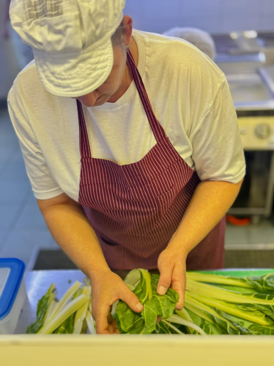 FOTO Polaznici POU Šibenik završili programe prekvalifikacije s izvrsnim uspjehom!