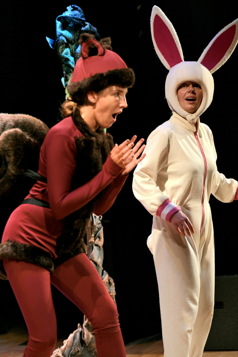 HNK Šibenik gostovao na Hvaru: Naši glumci predstavama oduševili velike i male