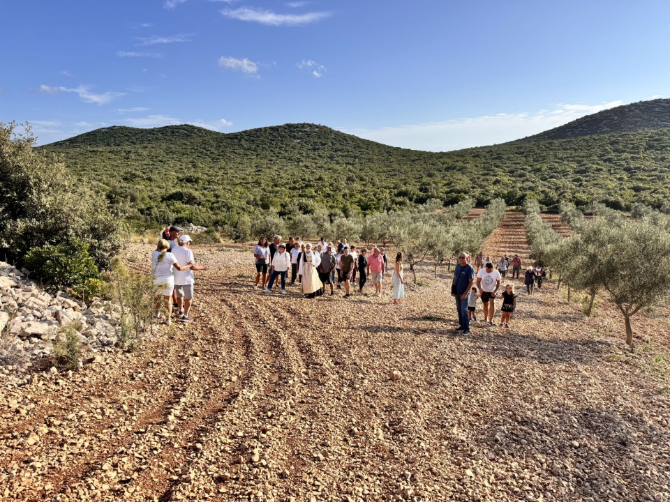'Piknikom u masliniku' službeno završilo 'Lito u Pirovcu'