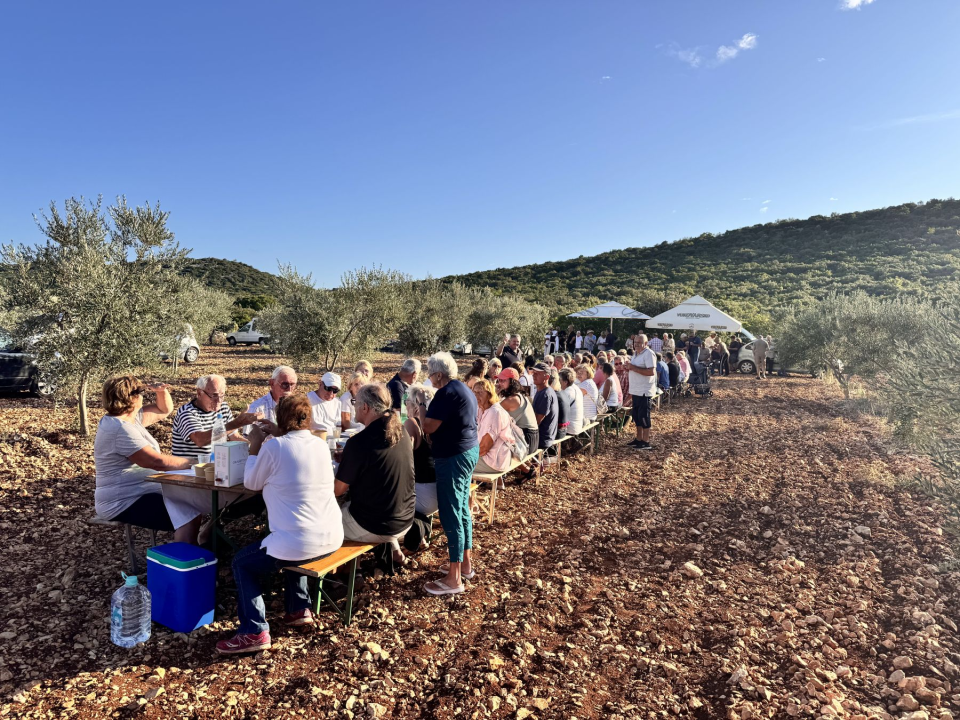 'Piknikom u masliniku' službeno završilo 'Lito u Pirovcu'