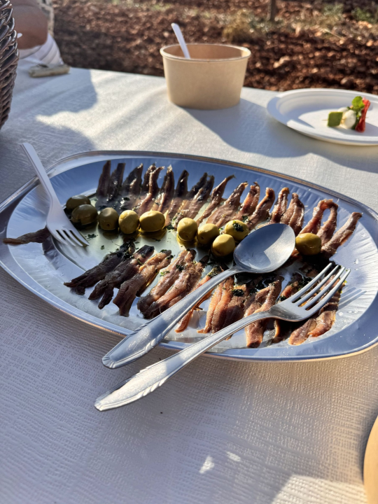 'Piknikom u masliniku' službeno završilo 'Lito u Pirovcu'